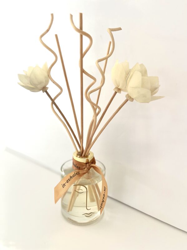 Valentine's Day Diffuser