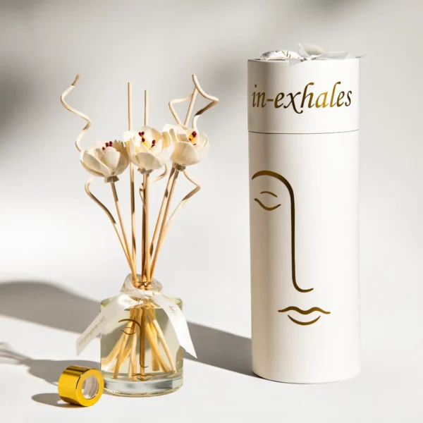 In-exhales-Room-Diffuser-Zoe